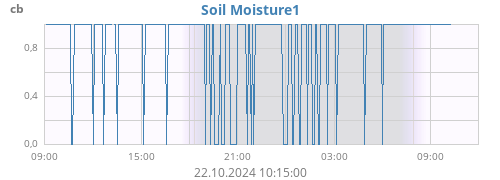 daymoistsoil